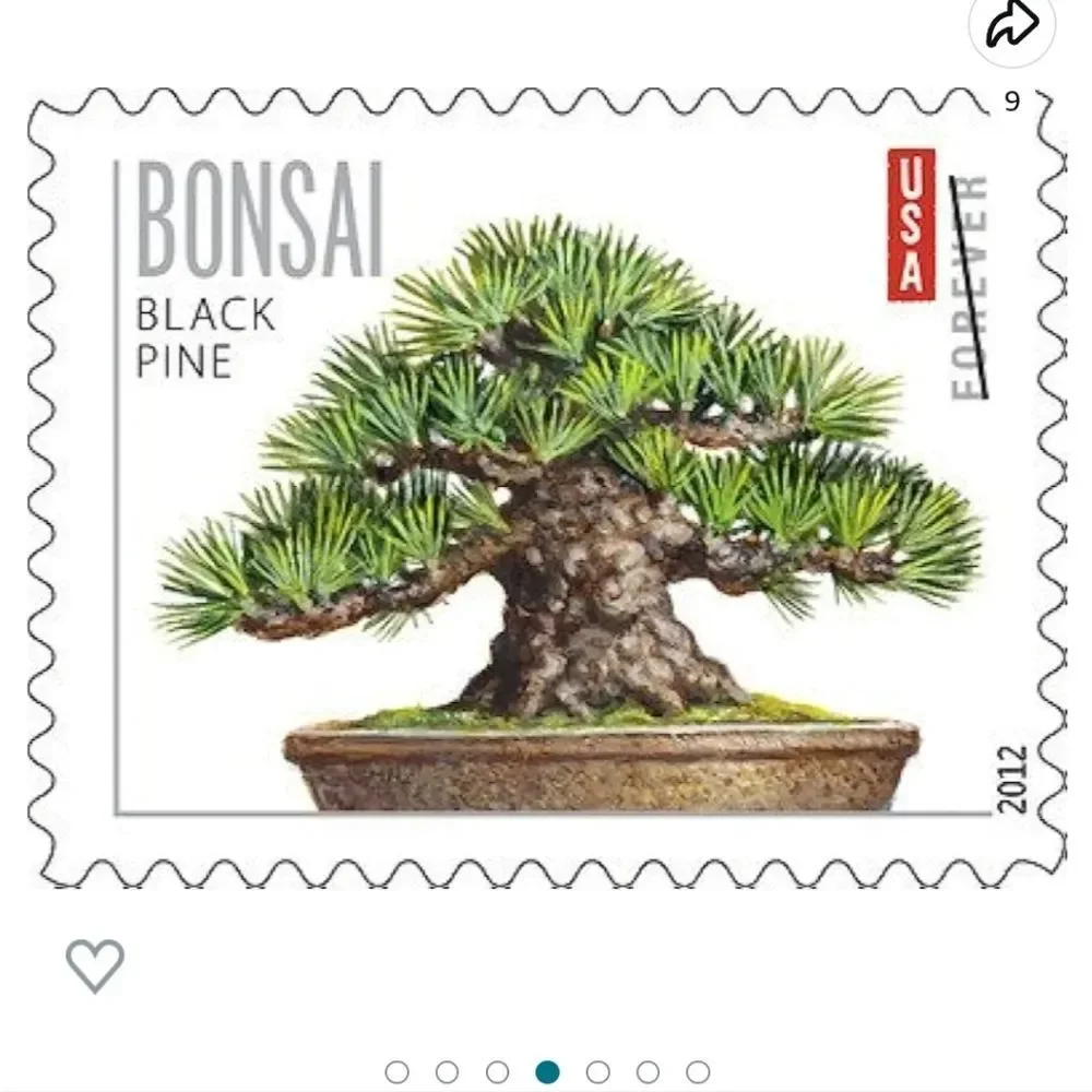 100 Bonsai Trees‎ 2012 Forever Postage Stamps US Postal USPS Wedding Invitations